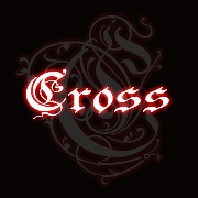 Cross(shenyangshi) 11.jpg