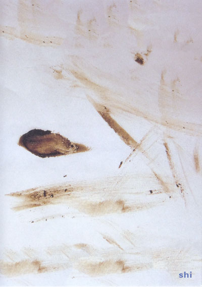 ファイル:Shi z.jpg