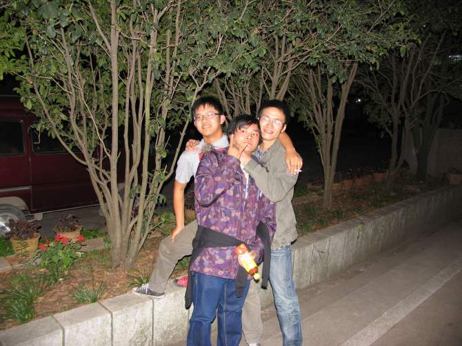 ファイル:Dasisida 11.jpg