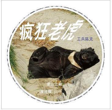 ファイル:Chenke fengkuanglaohu.jpg