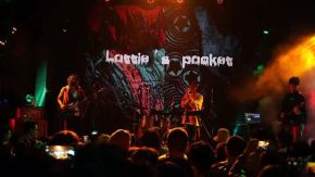 Luodidebaibaodai 11.jpg