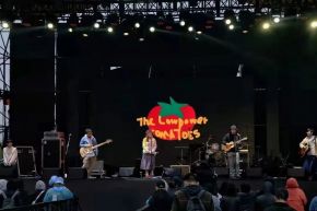 Tiaotiaofanqie 11.jpg