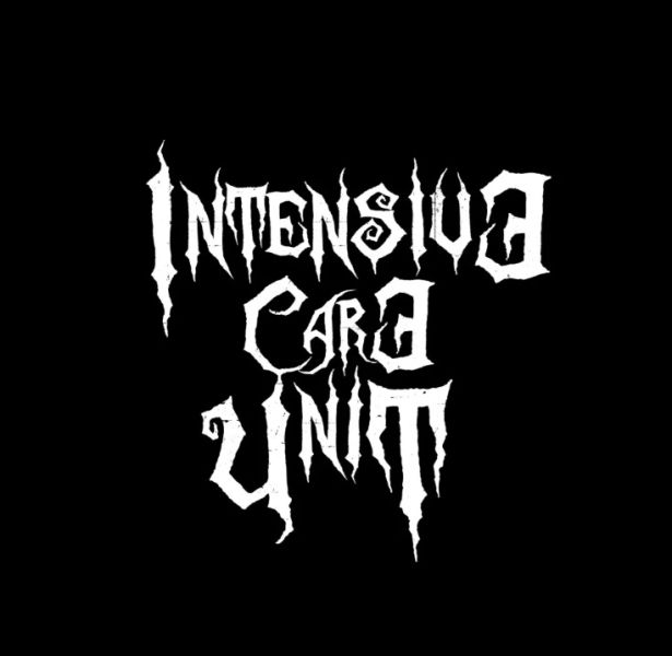 ファイル:Icu(chongqingshi) 11.jpg