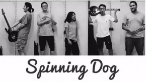 Spinningdog 11.jpg