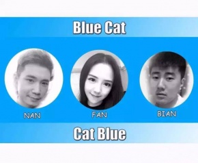 Bluecat 11.jpg