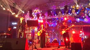 Lvpihuoche(changshashi) 11.jpg