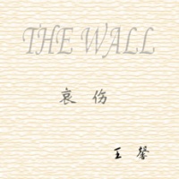 Thewall(taiyuanshi) aishang cd.jpg