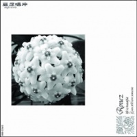 Ronez lifeisbeautifulifyoustilllovesomeone.jpg