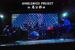 Junglemicoproject 11.jpg