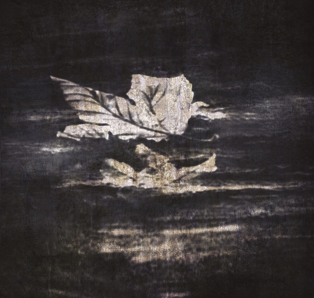 ファイル:Edieh incasethewindowblowpp.jpg