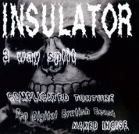 Insulator.jpg