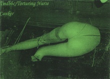 Tmdbbc torturingnurse album.jpg