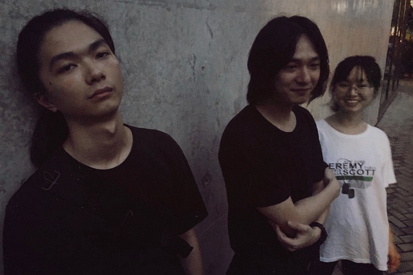 ファイル:Plicofstraw 11.jpg