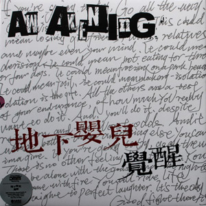 Dixiayinger a1lp2.jpg