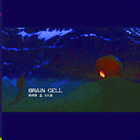 Jinchangxin naoxibao.jpg