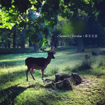 ファイル:Sufeihuayuan a1.jpg