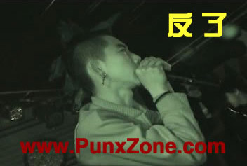 ファイル:Fanle 11.jpg