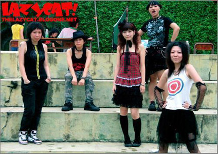 ファイル:Lazycat 11.jpg