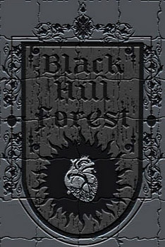 ファイル:Blackhillsforest 11.jpg