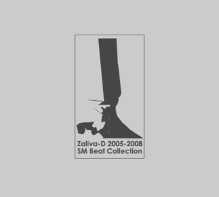 ファイル:Zalivad smbeatcollection20052008.jpg