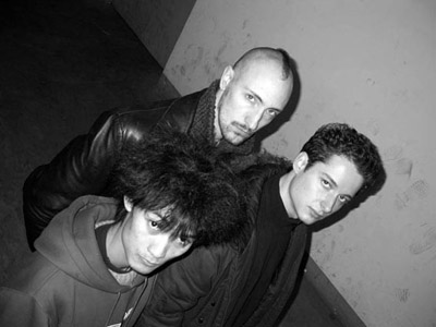 ファイル:Roadkills 12.jpg