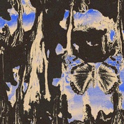 Shanguchonglanshou zhuirumengli.jpg