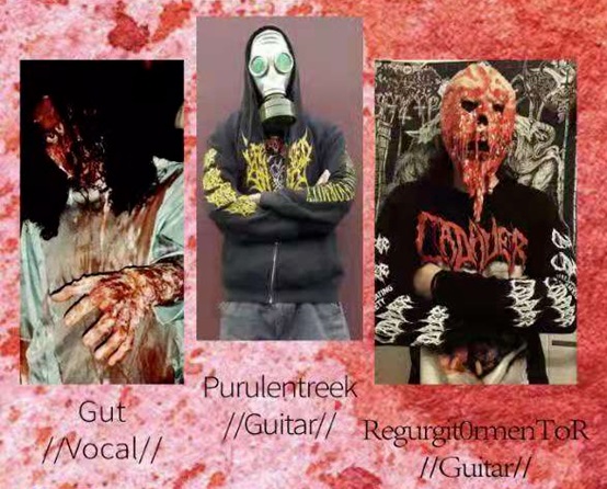 ファイル:Globularcyst 11.jpg