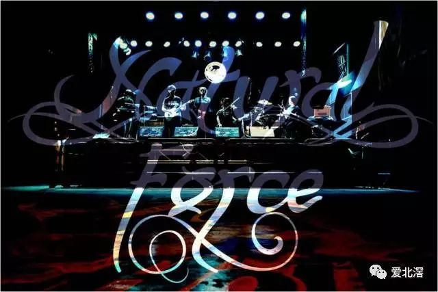 ファイル:Naturalforce 11.jpg