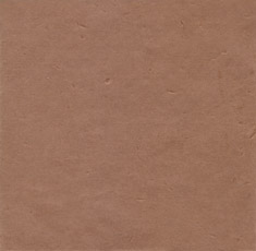 ファイル:Www iep2a.jpg