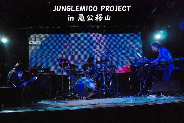 ファイル:Junglemicoproject 11.jpg