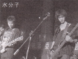 Shuifenzi(xinzhengshi) 11.jpg