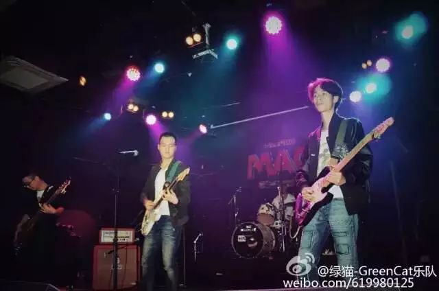 ファイル:Greencat 12.jpg