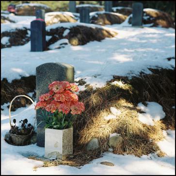 ファイル:Xisy iep1.jpg