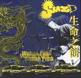 Shengmingzhibing wuhanpunk.jpg