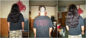 Niaodaoduanlie 11.jpg