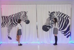 Shuangfenzhishi 11.jpg