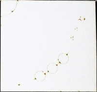 Mindfiber oneyear.jpg