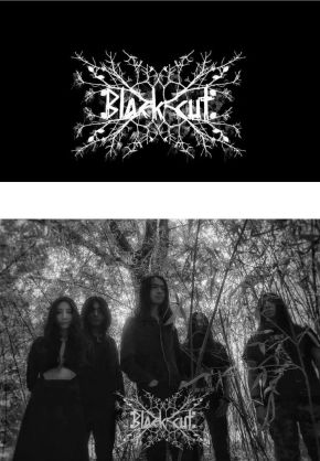 Blackcut 11.jpg