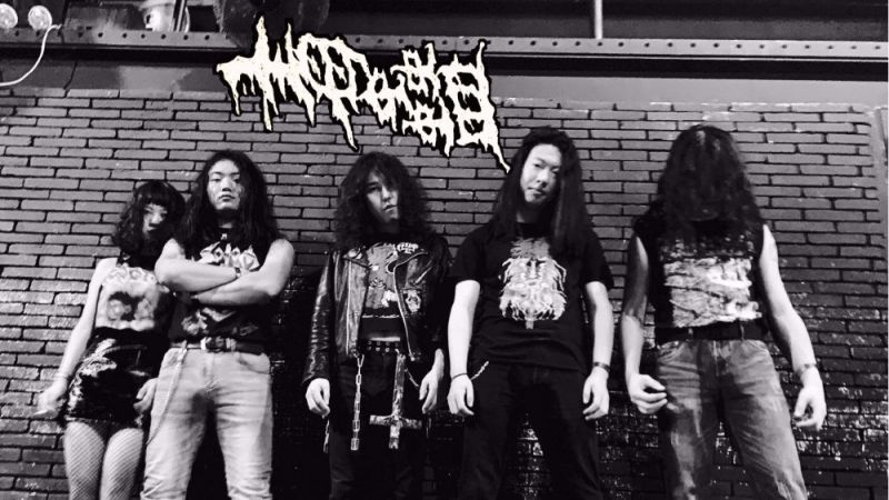 ファイル:Dugu 11.jpg