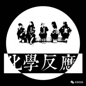 Huaxuefanying(beijingshi) 11.jpg