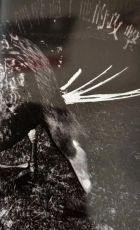 Changwaiguanjun womenduoguoletadegongji ct.jpg