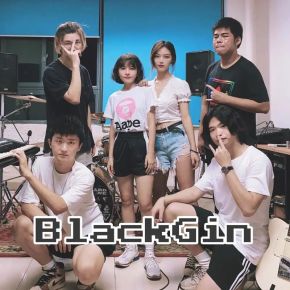 Blackgin 11.jpg