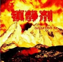 Zhenjingji(xianshi) 11.jpg