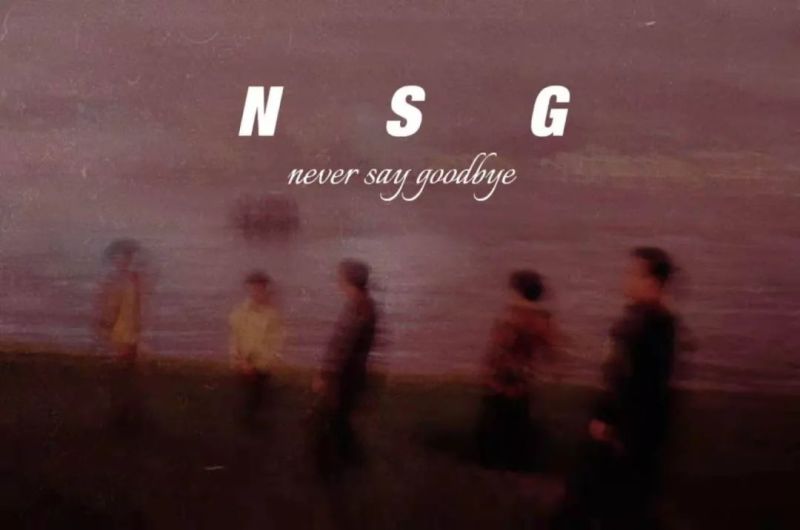 ファイル:Nsg 12.jpg