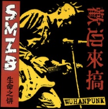 Shengmingzhibing huanyinglaigao.jpg