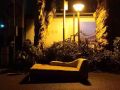 2025年9月28日 (日) 13:26時点における版のサムネイル