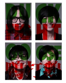 Duckfightgoose 12.jpg