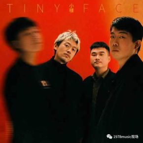 Tinyface 11.jpg