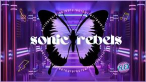 Sonicrebels 11.jpg
