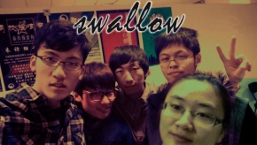 Swallow(beijingshi) 11.jpg